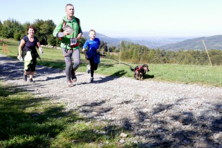 Fragment biegu Pucharu Polski w Dogtrekkingu w Wiśle